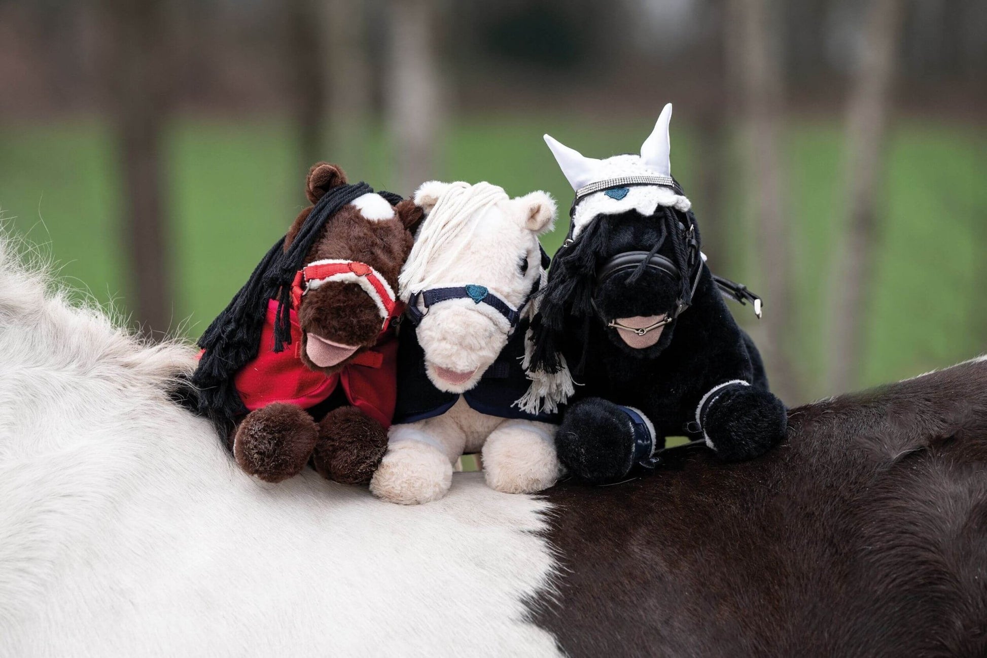 Cuddle Pony Riding set starter - Hobby Horse produkter säljs av Fåglasång