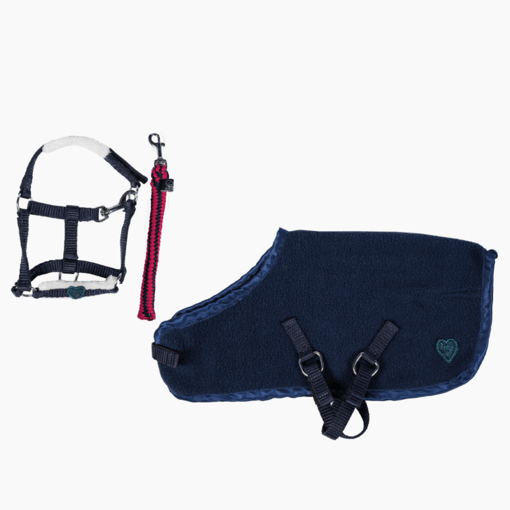 Cuddle Pony Starter Set för de yngsta - Hobby Horse säljs av Fåglasång