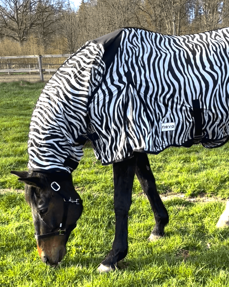 Flugtäcke Zebra med elastisk hals – Billigt Pris! Bra passform säljs av Fåglasång