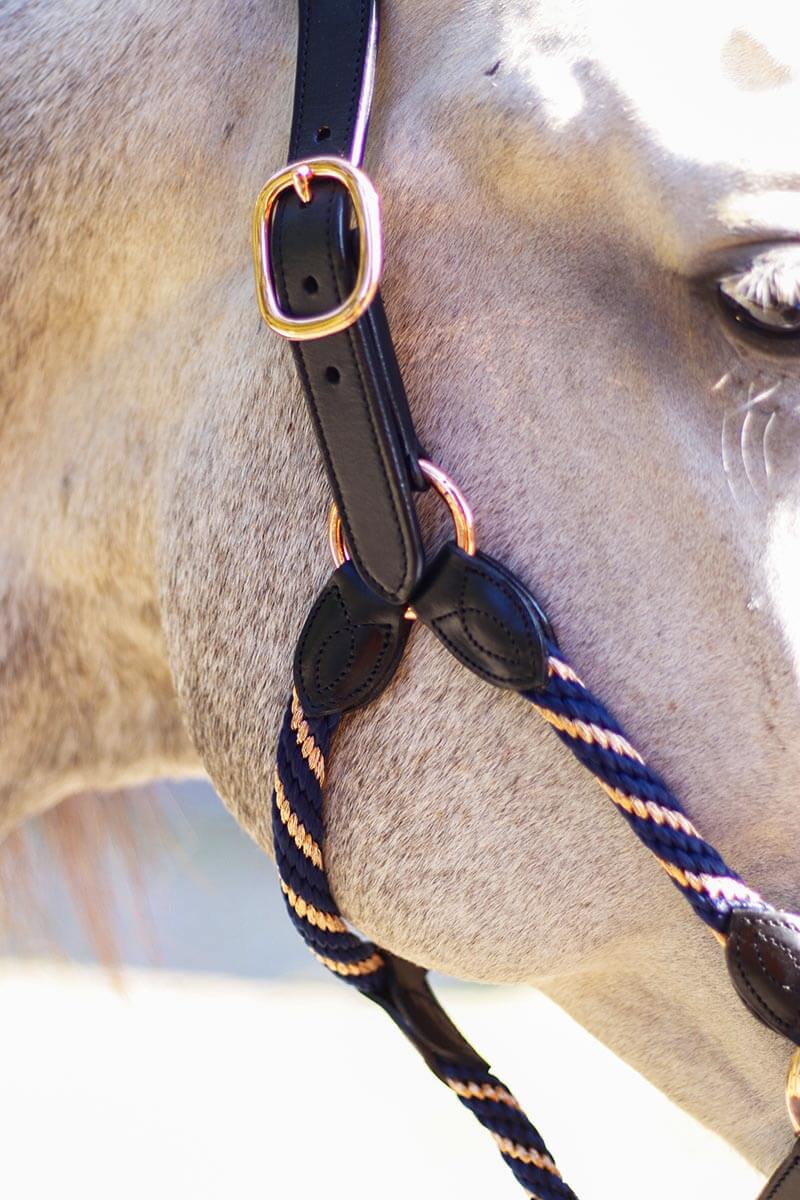 Lädergrimma Rope Rosegold NovaLine - Elegans med Roseguldsdetaljer säljs av Fåglasång