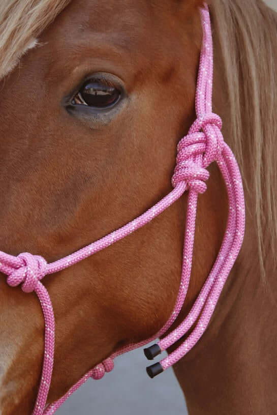 Repgrimma med Grimskaf - Mycket prisvärd från Nova säljs av Fåglasång