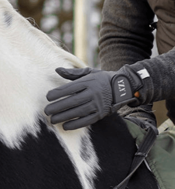 Ridhandske Best Grip LiZi - Marknadens skönaste handske? säljs av Fåglasång