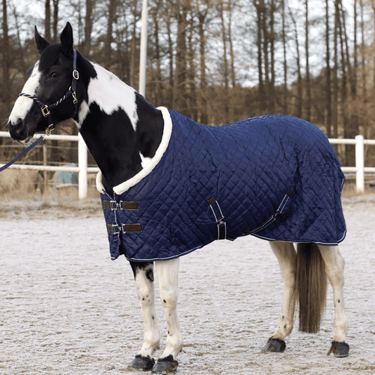 Stalltäcke Equinox NovaLine - Teddyfleece & Lyx för Häst säljs av Fåglasång
