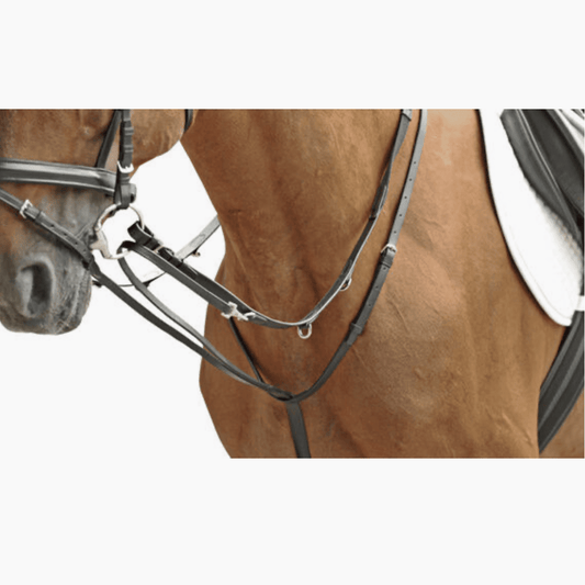 Bild på häst med hjälptygel Thideman tygel 