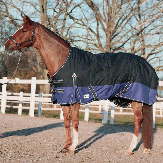 Hur varmt täcke behöver min häst? Komplett guide för 2026