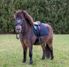 Shetlandssadel Colorfull