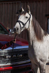 Träns Elegant Grace