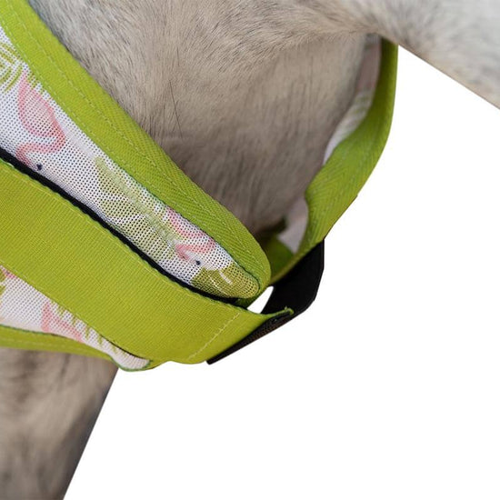 Cool Flughuva Flamingo från HKM säljs av Fåglasång 