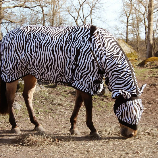 Flugtäcke Zebra med elastisk hals – Billigt Pris! Bra passform säljs av Fåglasång 