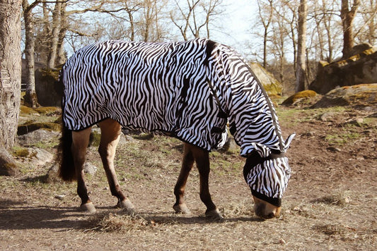 Flugtäcke Zebra med elastisk hals – Billigt Pris! Bra passform säljs av Fåglasång 