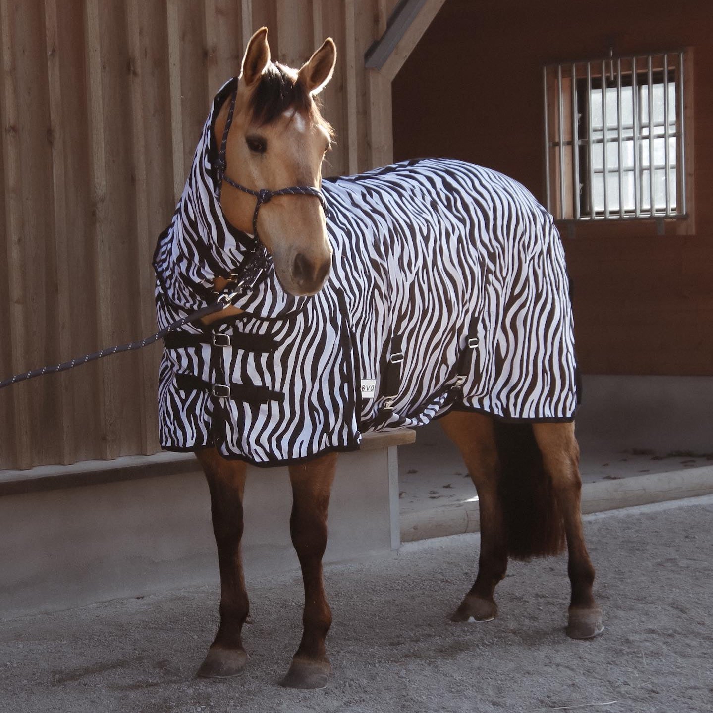 flugtäcke med zebra mönster och med hellhals