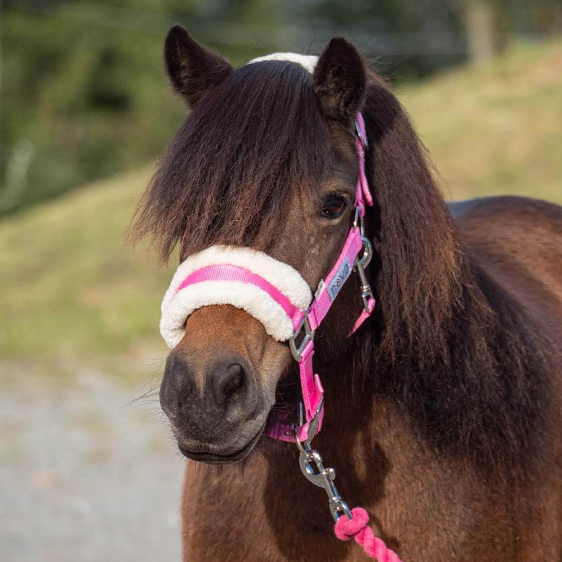 Grimma Nylon Fodrad Alma - Billig teddy grimma! säljs av Fåglasång 