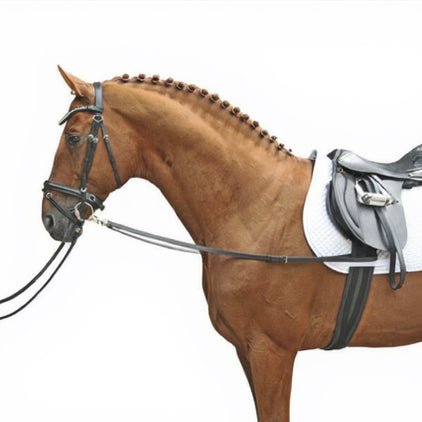 Inspänningstygel svart läder