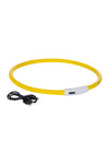 Lysande LED halsband för hund