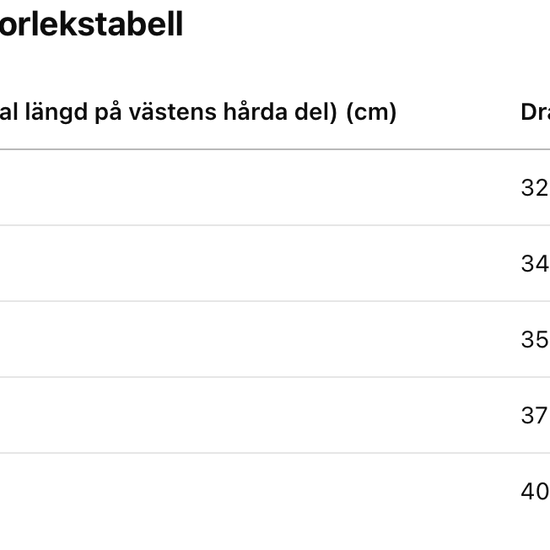 Ryggskydd / Säkerhetsväst Pro Flex II | CE-Märkt & Säker | Köp Online säljs av Fåglasång 