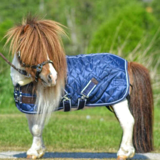 Stalltäcke Equinox NovaLine ponny - lyxig teddyfleece säljs av Fåglasång 
