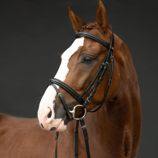 Träns Jana ink tyglar