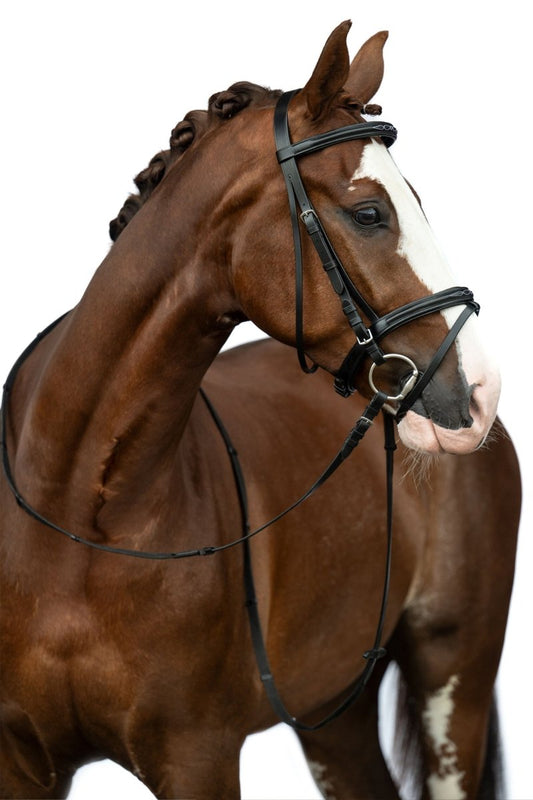 Träns Jana ink tyglar