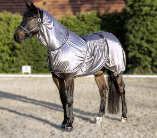 Mörkbrun häst med exsemtäcke för häst i silverfär.
